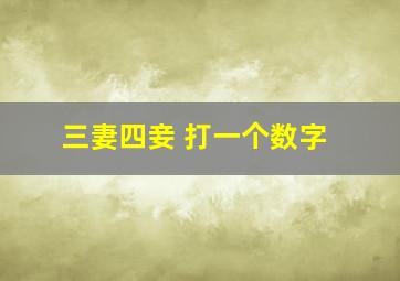 三妻四妾 打一个数字